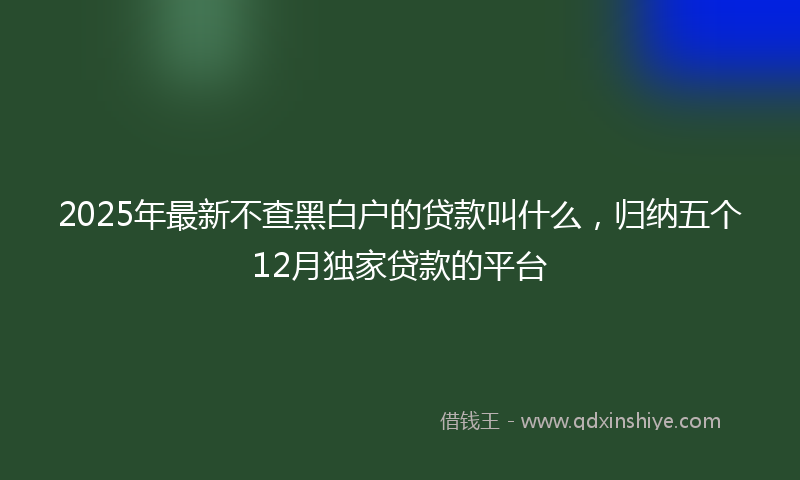 2025年最新不查黑白户的贷款叫什么，归纳五个12月独家贷款的平台