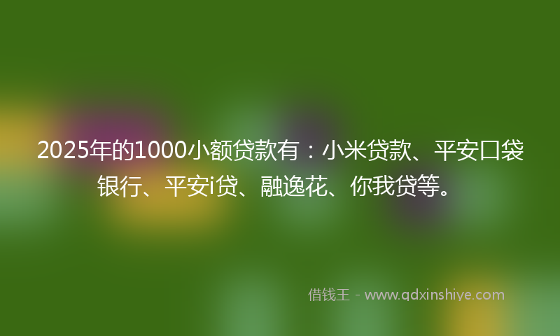 2025年的1000小额贷款有：小米贷款、平安口袋银行、平安i贷、融逸花、你我贷等。
