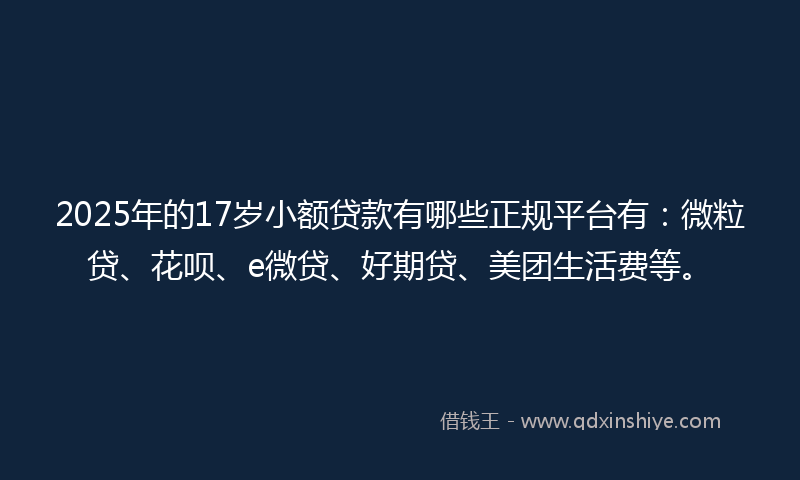 2025年的17岁小额贷款有哪些正规平台有：微粒贷、花呗、e微贷、好期贷、美团生活费等。