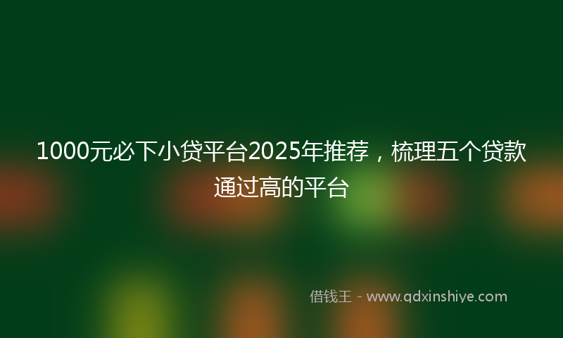1000元必下小贷平台2025年推荐，梳理五个贷款通过高的平台