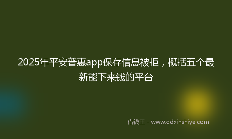 2025年平安普惠app保存信息被拒，概括五个最新能下来钱的平台