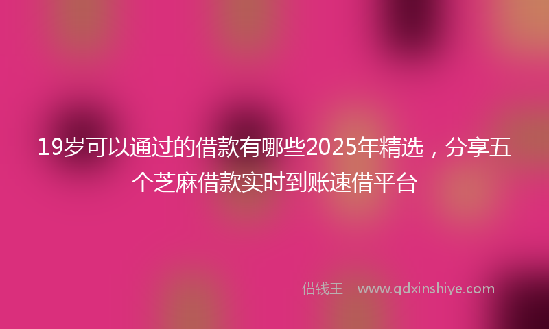 19岁可以通过的借款有哪些2025年精选，分享五个芝麻借款实时到账速借平台