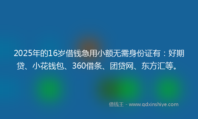2025年的16岁借钱急用小额无需身份证有：好期贷、小花钱包、360借条、团贷网、东方汇等。