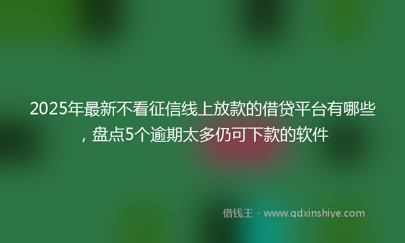 2025年最新不看征信线上放款的借贷平台有哪些，盘点5个逾期太多仍可下款的软件
