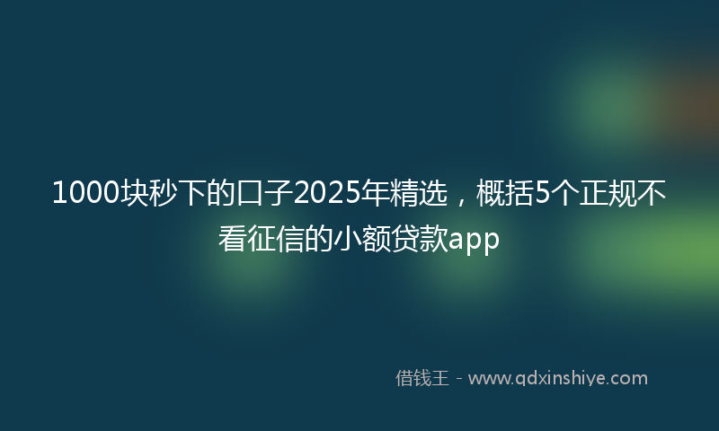1000块秒下的口子2025年精选，概括5个正规不看征信的小额贷款app