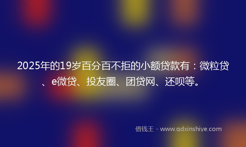 2025年的19岁百分百不拒的小额贷款有：微粒贷、e微贷、投友圈、团贷网、还呗等。