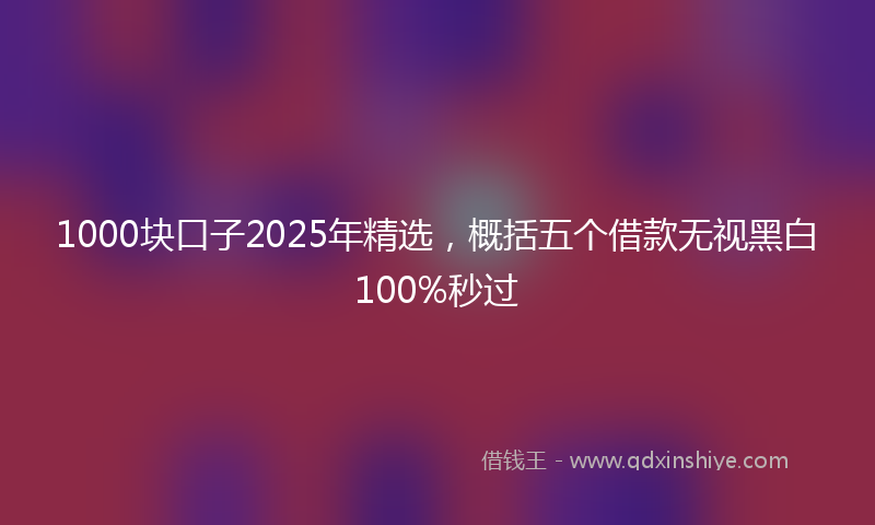 1000块口子2025年精选，概括五个借款无视黑白100%秒过
