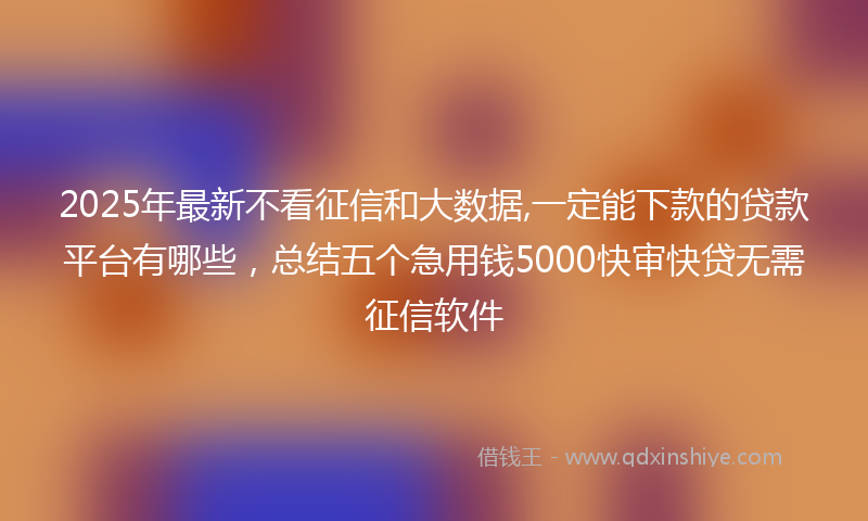 2025年最新不看征信和大数据,一定能下款的贷款平台有哪些，总结五个急用钱5000快审快贷无需征信软件
