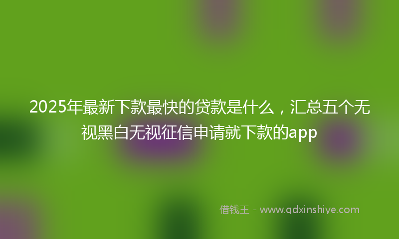 2025年最新下款最快的贷款是什么，汇总五个无视黑白无视征信申请就下款的app