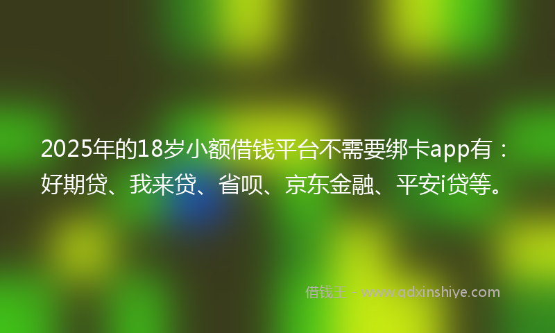 2025年的18岁小额借钱平台不需要绑卡app有：好期贷、我来贷、省呗、京东金融、平安i贷等。