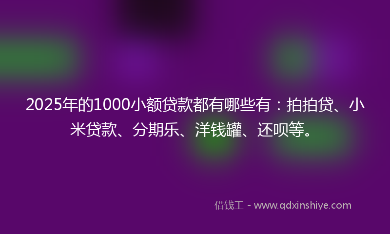 2025年的1000小额贷款都有哪些有：拍拍贷、小米贷款、分期乐、洋钱罐、还呗等。