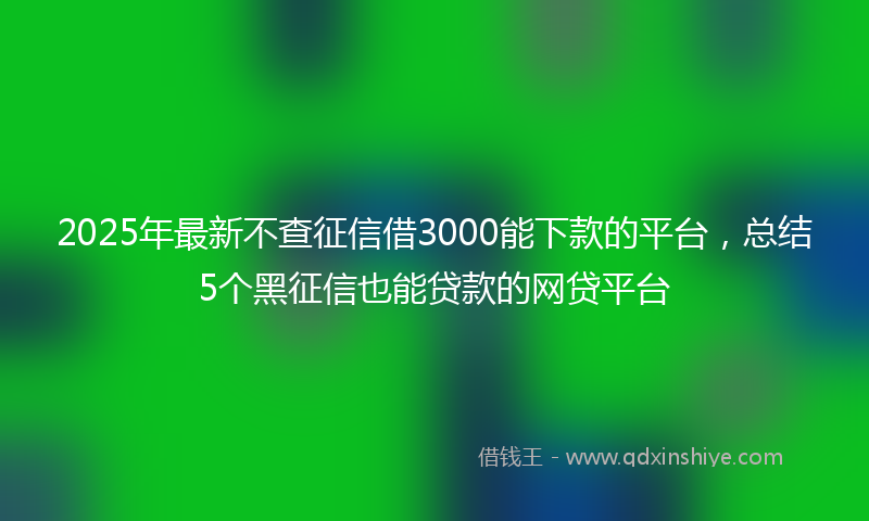 2025年最新不查征信借3000能下款的平台，总结5个黑征信也能贷款的网贷平台