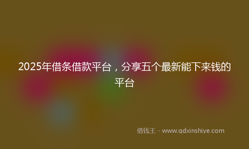 2025年借条借款平台，分享五个最新能下来钱的平台