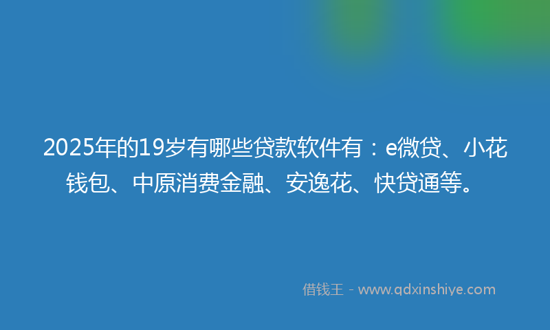 2025年的19岁有哪些贷款软件有：e微贷、小花钱包、中原消费金融、安逸花、快贷通等。