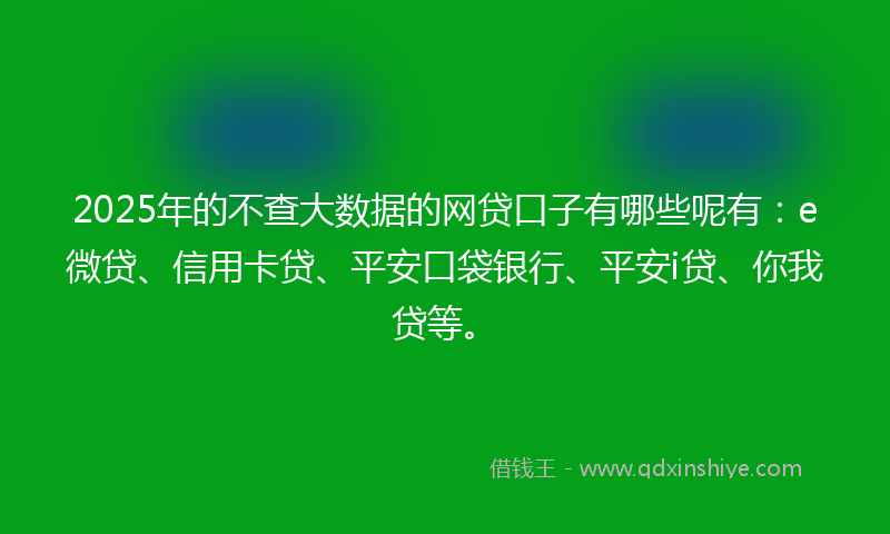 2025年的不查大数据的网贷口子有哪些呢有：e微贷、信用卡贷、平安口袋银行、平安i贷、你我贷等。