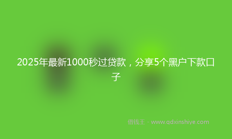 2025年最新1000秒过贷款，分享5个黑户下款口子