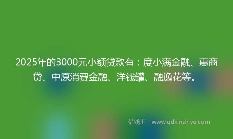 2025年的3000元小额贷款有：度小满金融、惠商贷、中原消费金融、洋钱罐、融逸花等。