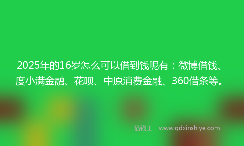 2025年的16岁怎么可以借到钱呢有：微博借钱、度小满金融、花呗、中原消费金融、360借条等。