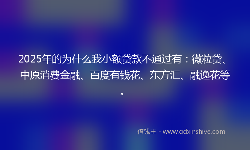 2025年的为什么我小额贷款不通过有：微粒贷、中原消费金融、百度有钱花、东方汇、融逸花等。