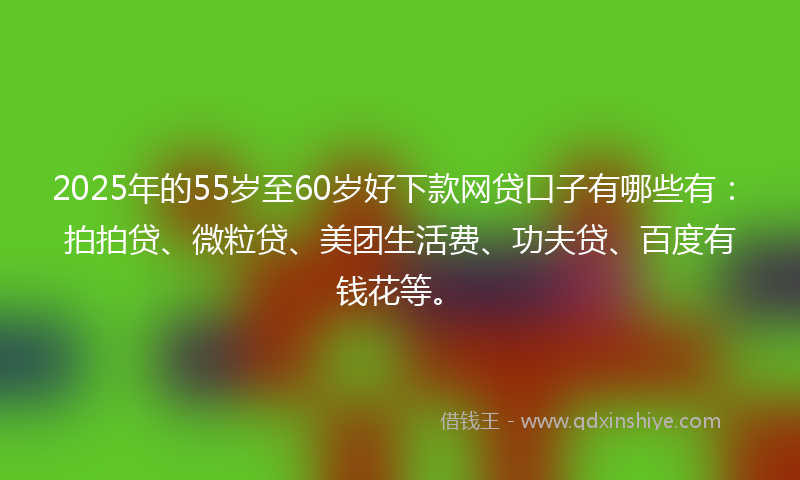 2025年的55岁至60岁好下款网贷口子有哪些有：拍拍贷、微粒贷、美团生活费、功夫贷、百度有钱花等。