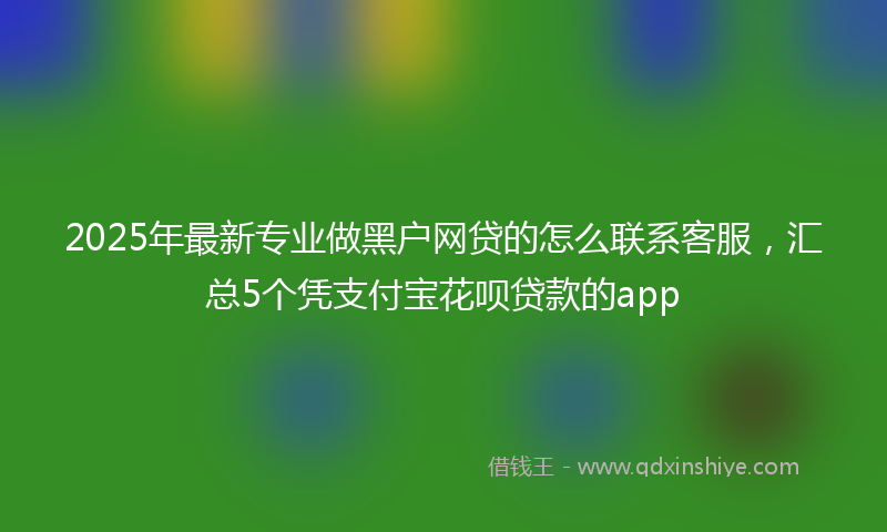 2025年最新专业做黑户网贷的怎么联系客服，汇总5个凭支付宝花呗贷款的app