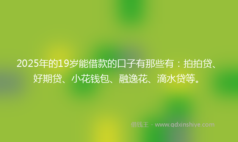 2025年的19岁能借款的口子有那些有：拍拍贷、好期贷、小花钱包、融逸花、滴水贷等。