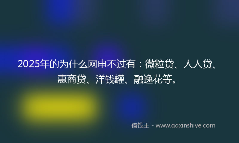 2025年的为什么网申不过有：微粒贷、人人贷、惠商贷、洋钱罐、融逸花等。
