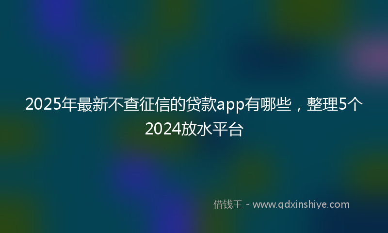 2025年最新不查征信的贷款app有哪些，整理5个2024放水平台