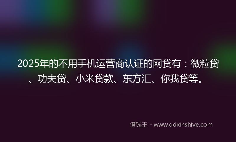 2025年的不用手机运营商认证的网贷有：微粒贷、功夫贷、小米贷款、东方汇、你我贷等。