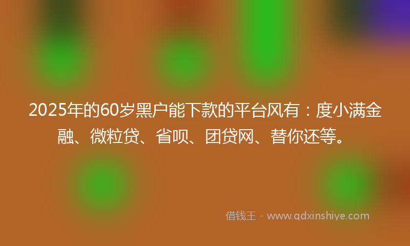 2025年的60岁黑户能下款的平台风有：度小满金融、微粒贷、省呗、团贷网、替你还等。