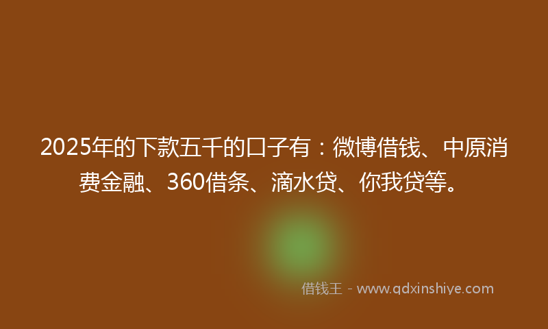 2025年的下款五千的口子有：微博借钱、中原消费金融、360借条、滴水贷、你我贷等。