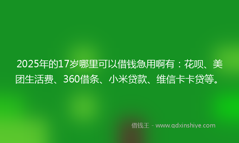 2025年的17岁哪里可以借钱急用啊有：花呗、美团生活费、360借条、小米贷款、维信卡卡贷等。