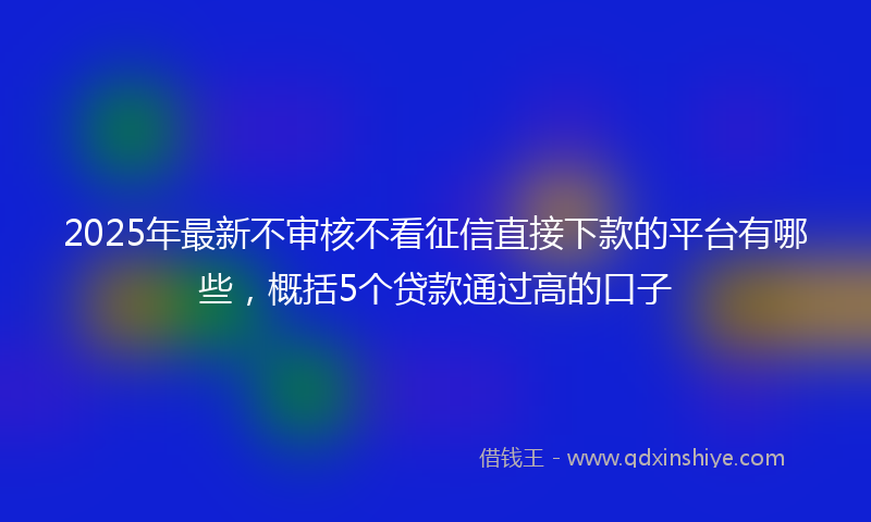 2025年最新不审核不看征信直接下款的平台有哪些，概括5个贷款通过高的口子