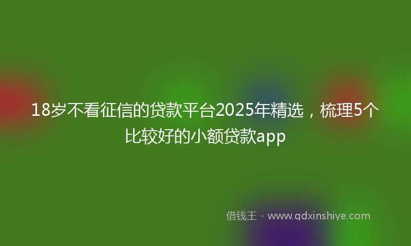 18岁不看征信的贷款平台2025年精选，梳理5个比较好的小额贷款app