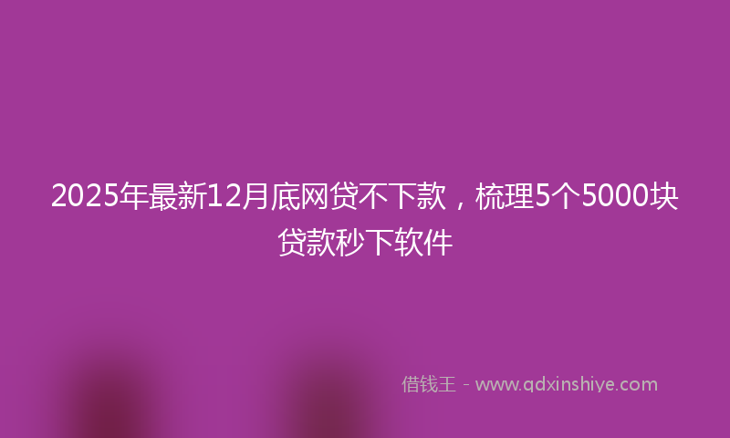 2025年最新12月底网贷不下款，梳理5个5000块贷款秒下软件