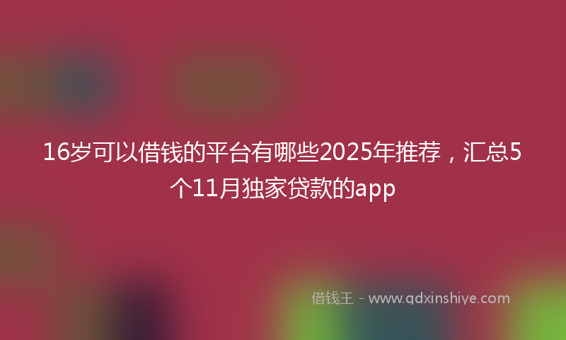 16岁可以借钱的平台有哪些2025年推荐，汇总5个11月独家贷款的app
