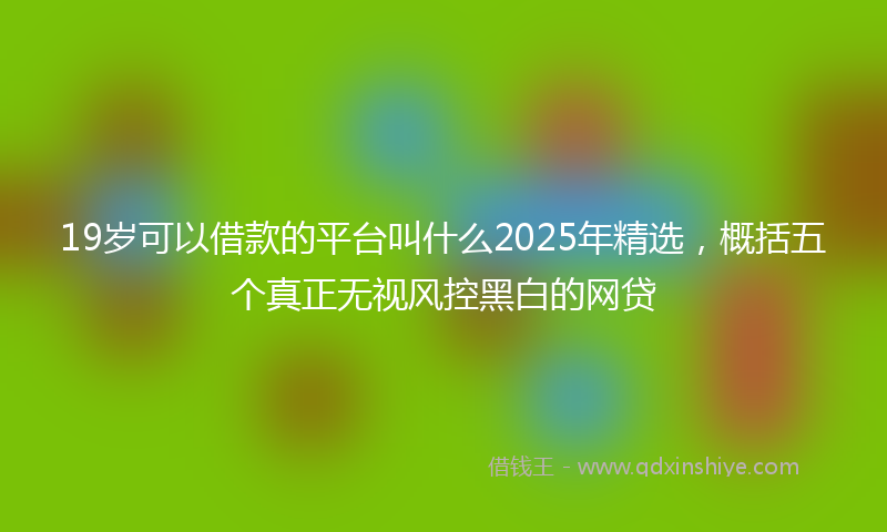 19岁可以借款的平台叫什么2025年精选，概括五个真正无视风控黑白的网贷
