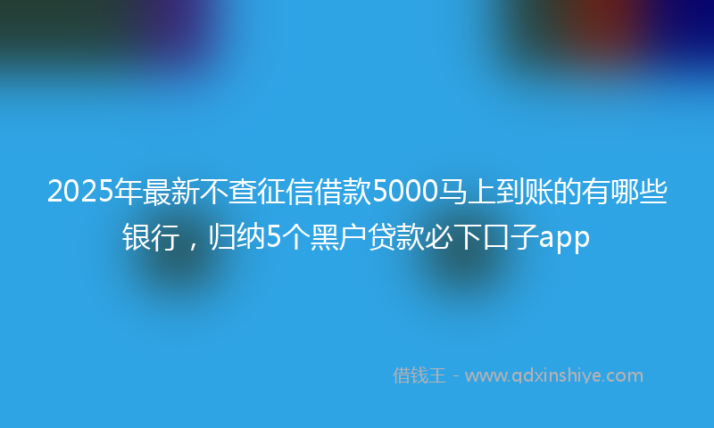 2025年最新不查征信借款5000马上到账的有哪些银行，归纳5个黑户贷款必下口子app