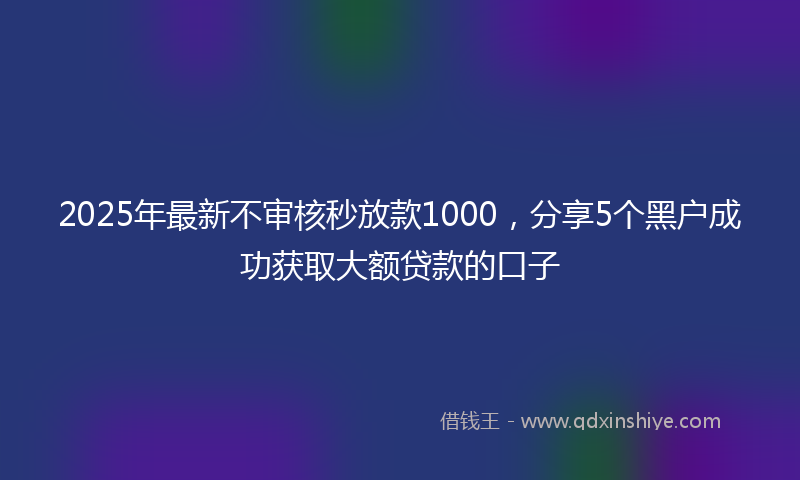 2025年最新不审核秒放款1000，分享5个黑户成功获取大额贷款的口子