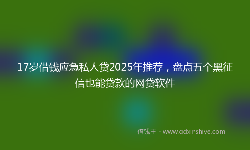 17岁借钱应急私人贷2025年推荐，盘点五个黑征信也能贷款的网贷软件