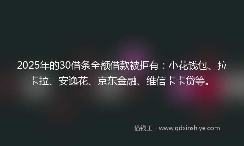 2025年的30借条全额借款被拒有：小花钱包、拉卡拉、安逸花、京东金融、维信卡卡贷等。