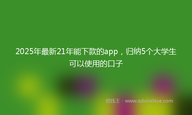2025年最新21年能下款的app，归纳5个大学生可以使用的口子