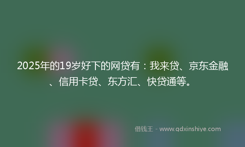 2025年的19岁好下的网贷有：我来贷、京东金融、信用卡贷、东方汇、快贷通等。