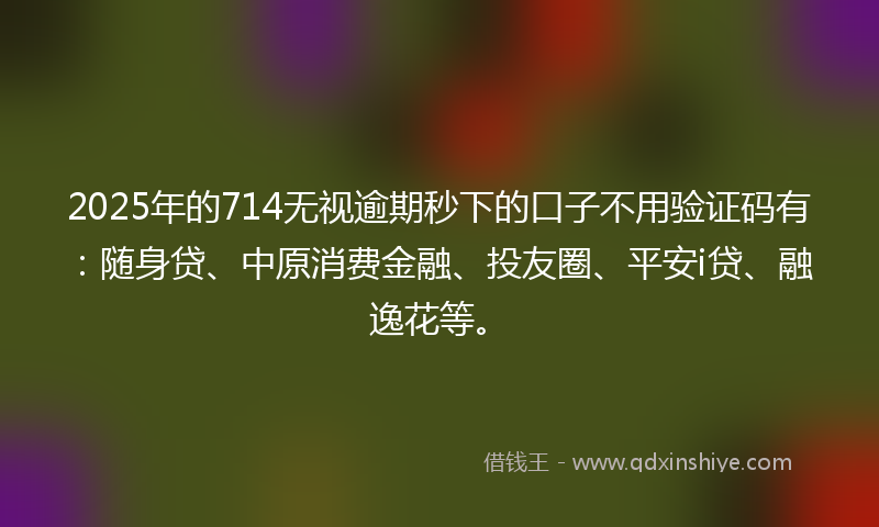 2025年的714无视逾期秒下的口子不用验证码有：随身贷、中原消费金融、投友圈、平安i贷、融逸花等。