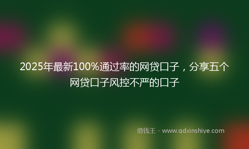 2025年最新100%通过率的网贷口子，分享五个网贷口子风控不严的口子