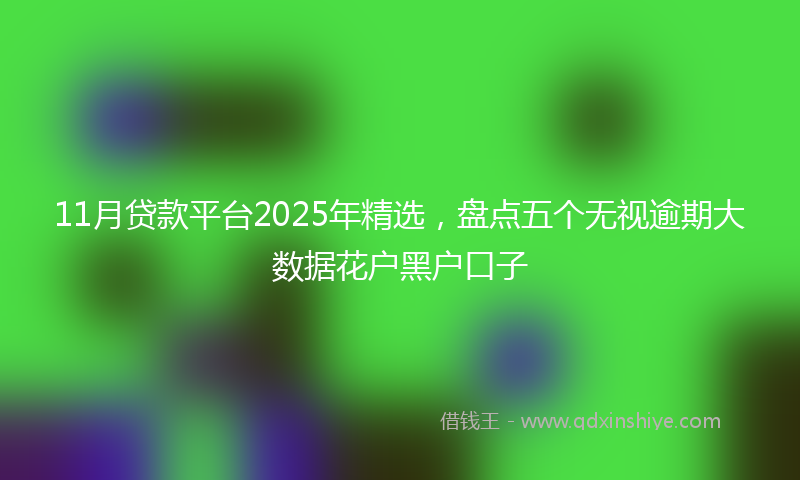 11月贷款平台2025年精选，盘点五个无视逾期大数据花户黑户口子
