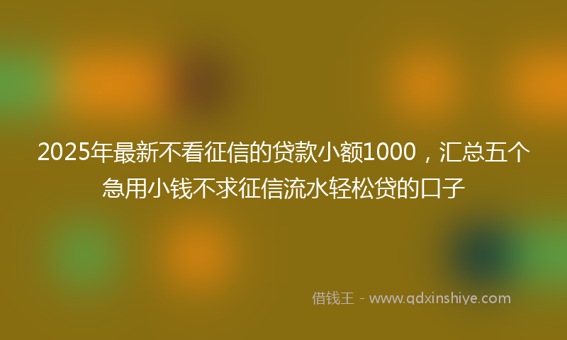 2025年最新不看征信的贷款小额1000，汇总五个急用小钱不求征信流水轻松贷的口子