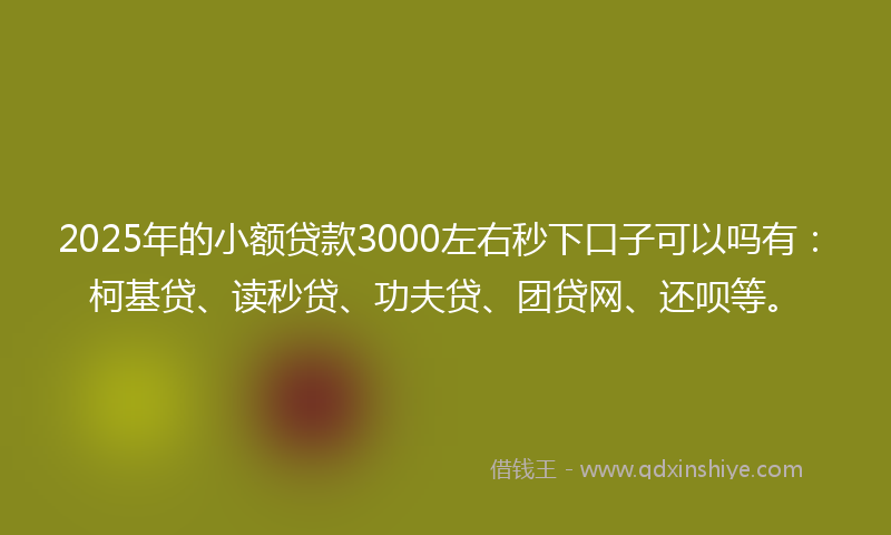 2025年的小额贷款3000左右秒下口子可以吗有：柯基贷、读秒贷、功夫贷、团贷网、还呗等。