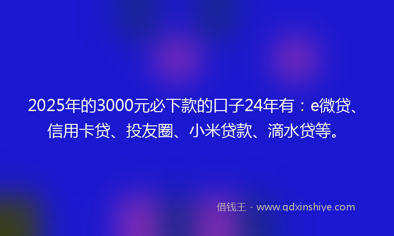 2025年的3000元必下款的口子24年有：e微贷、信用卡贷、投友圈、小米贷款、滴水贷等。