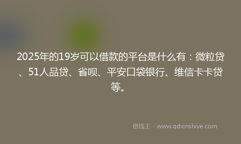2025年的19岁可以借款的平台是什么有：微粒贷、51人品贷、省呗、平安口袋银行、维信卡卡贷等。